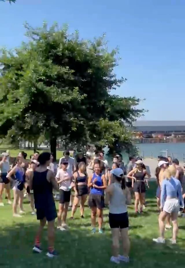 A crowd on the grass at a Once event in New York