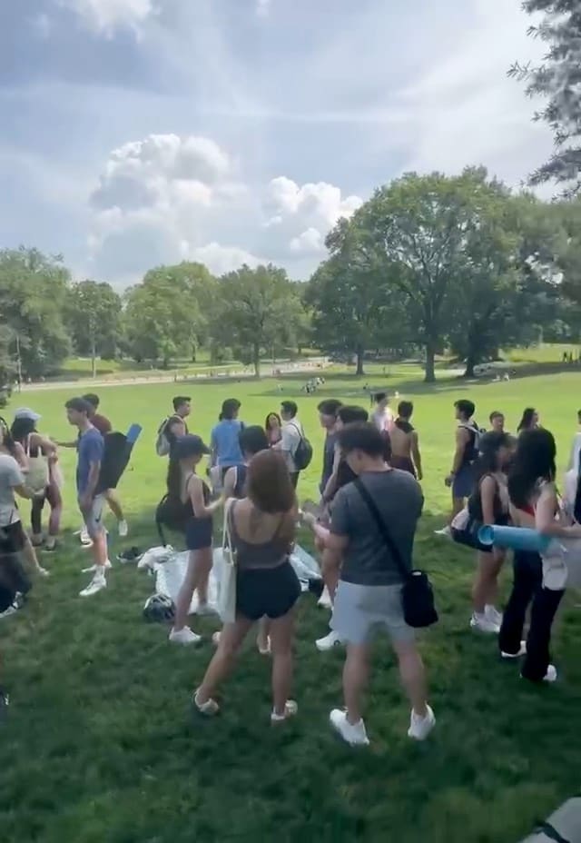 A crowd spread across the lawn at a Once event in New York